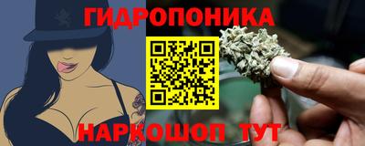 дживик Кунгур