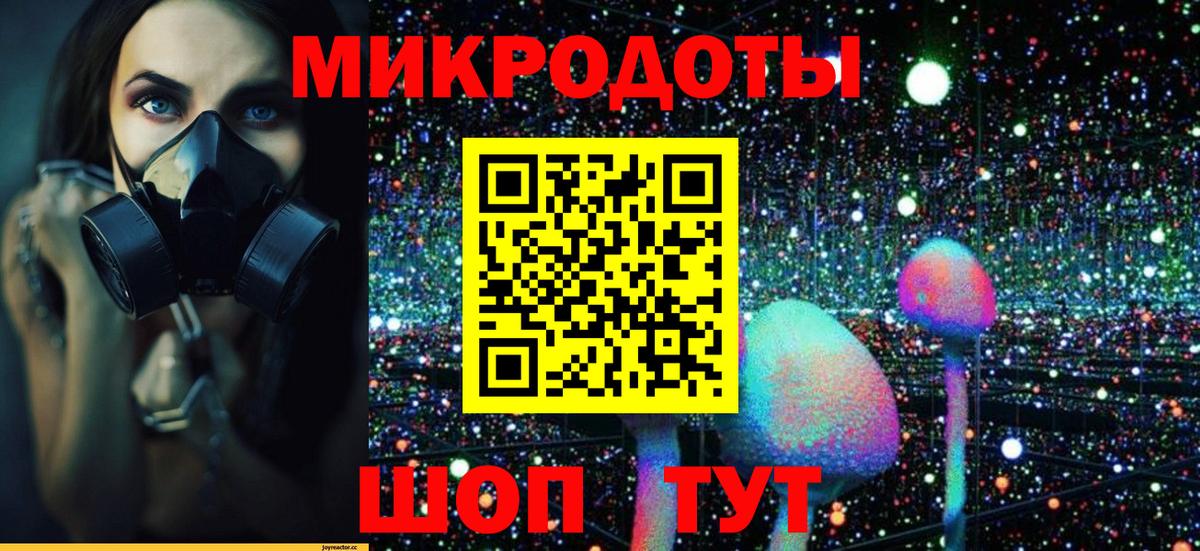 Галлюциногенные грибы прущие грибы Волгоград