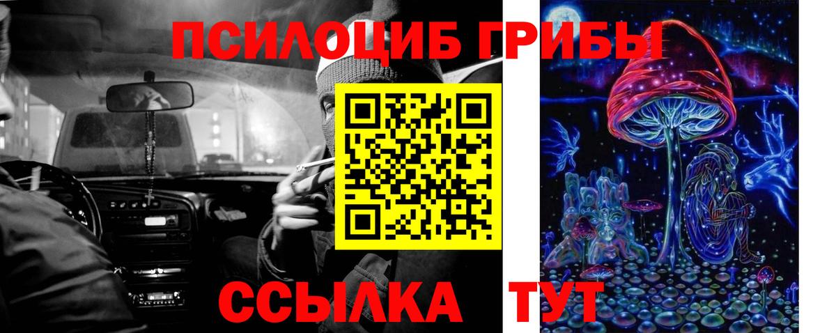 Галлюциногенные грибы Psilocybe  Вход с VPN  Волгоград 